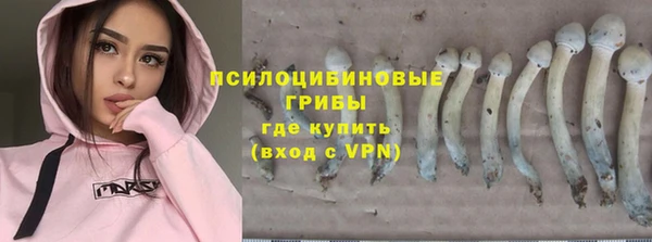 эйфоретик Абаза