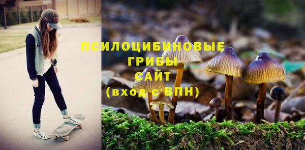 эйфоретик Абаза
