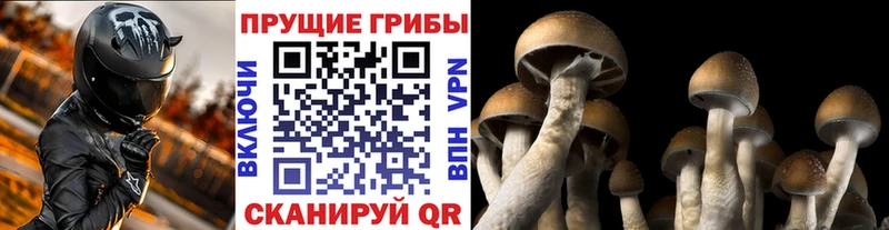 Галлюциногенные грибы Magic Shrooms  Осташков 